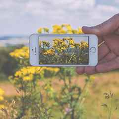 This is Default Slide 4 Title